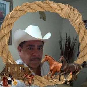 Meet your Posher, Leonardo